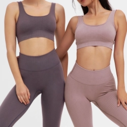 Women Ropa Deportiva Solid Color Gym Yoga Outfit Leggings Activewear Set