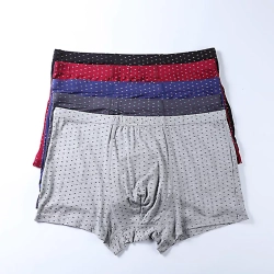 Mens Underwear Briefs Supplier Manufacturer In Bangladesh