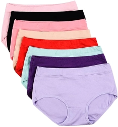 Womens Mid Rise Stretch Panties Manufacturer Supplier In Bangladesh