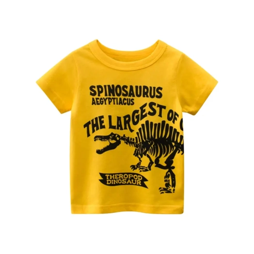 Cotton Print Knitted Boys Tshirt From Bangladesh Factory