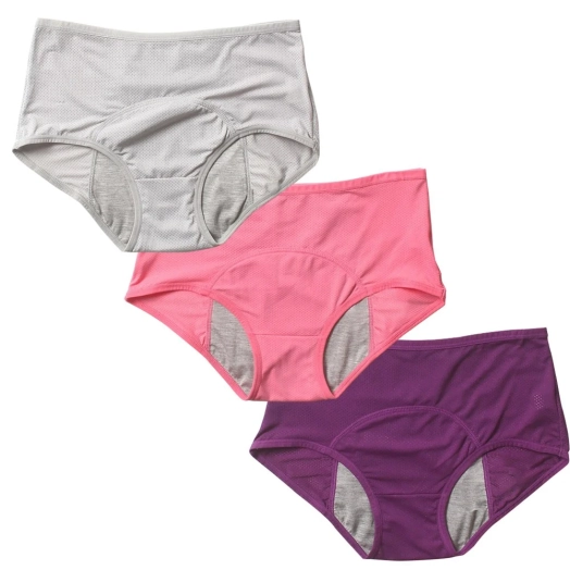 Womens Period Briefs Factory In Bangladesh